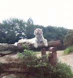 群馬サファリパークに投稿された画像（2021/8/22）