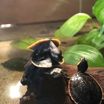 名古屋港水族館に投稿された画像（2021/8/22）