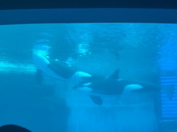名古屋港水族館に投稿された画像（2021/8/22）