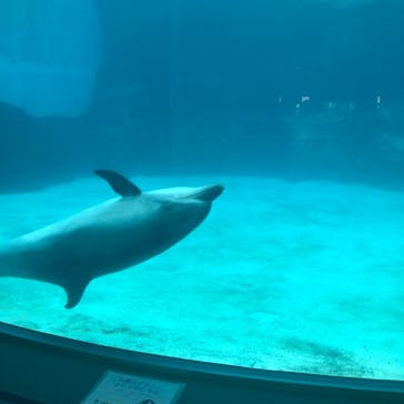 名古屋港水族館に投稿された画像（2021/8/22）