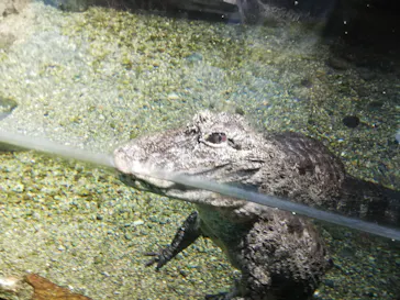 天王寺動物園に投稿された画像（2021/8/22）