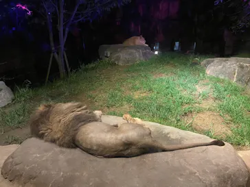 天王寺動物園に投稿された画像（2021/8/22）