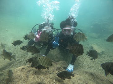 武藤潜水に投稿された画像（2021/8/22）