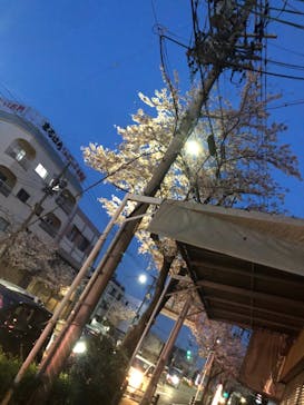 武藤潜水に投稿された画像（2021/8/22）