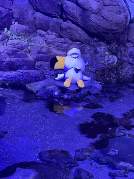 横浜・八景島シーパラダイスに投稿された画像（2021/8/22）