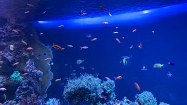 サンシャイン水族館に投稿された画像（2021/8/22）