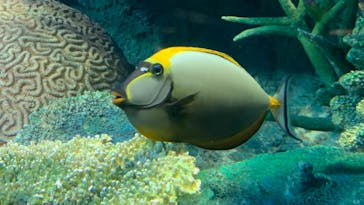サンシャイン水族館に投稿された画像（2021/8/22）