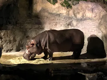 天王寺動物園に投稿された画像（2021/8/22）