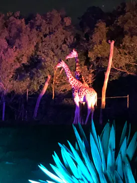 天王寺動物園に投稿された画像（2021/8/22）