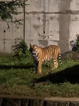 天王寺動物園に投稿された画像（2021/8/22）