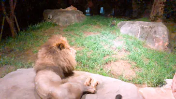 天王寺動物園に投稿された画像（2021/8/22）