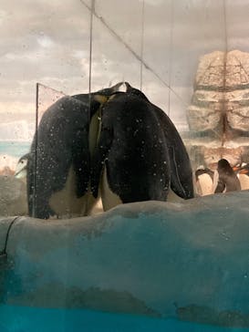 名古屋港水族館に投稿された画像（2021/8/22）