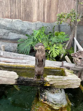 横浜・八景島シーパラダイスに投稿された画像（2021/8/22）