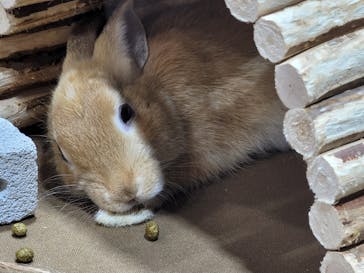 サンシャイン水族館に投稿された画像（2021/8/22）