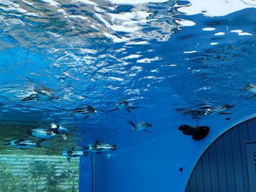 サンシャイン水族館に投稿された画像（2021/8/22）