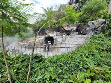 サンシャイン水族館に投稿された画像（2021/8/22）