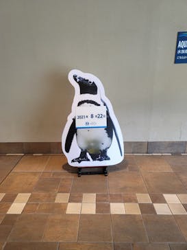 サンシャイン水族館に投稿された画像（2021/8/22）