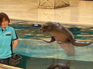 鳥羽水族館に投稿された画像（2021/8/22）