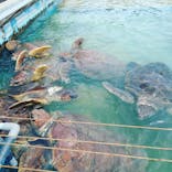 南知多ビーチランド＆南知多おもちゃ王国に投稿された画像（2021/8/22）