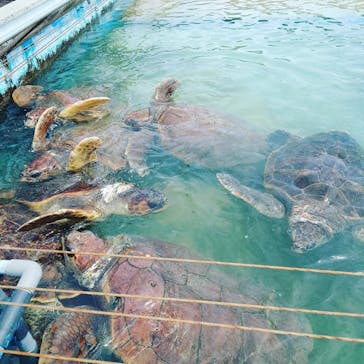 南知多ビーチランド＆南知多おもちゃ王国に投稿された画像（2021/8/22）