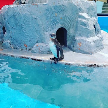 南知多ビーチランド＆南知多おもちゃ王国に投稿された画像（2021/8/22）