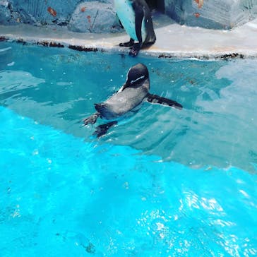 南知多ビーチランド＆南知多おもちゃ王国に投稿された画像（2021/8/22）