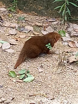 天王寺動物園に投稿された画像（2021/8/22）