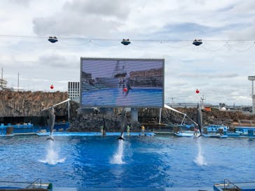 名古屋港水族館に投稿された画像（2021/8/22）