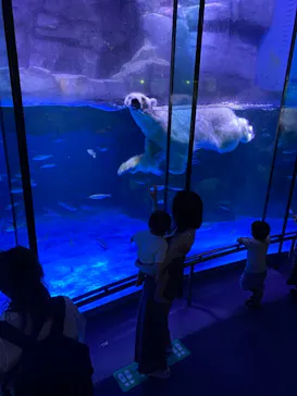 横浜・八景島シーパラダイスに投稿された画像（2021/8/22）