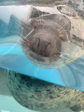 京都水族館に投稿された画像（2021/8/22）