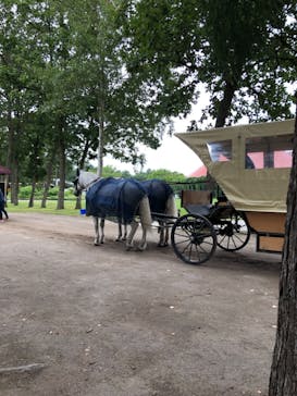 ノーザンホースパークに投稿された画像（2021/8/22）