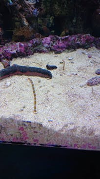 サンシャイン水族館に投稿された画像（2021/8/22）