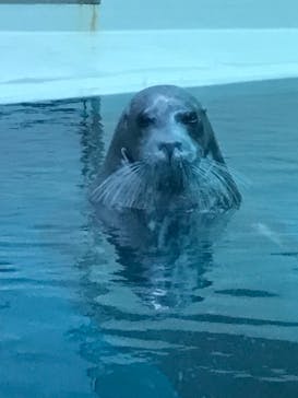 大分マリーンパレス水族館 「うみたまご」に投稿された画像（2021/8/22）