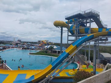 蓮沼ウォーターガーデンに投稿された画像（2021/8/22）