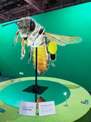 特別展「昆虫」(名古屋市科学館)に投稿された画像（2021/8/22）