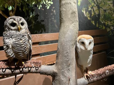 Moff animal world MARK IS みなとみらい店に投稿された画像（2021/8/22）