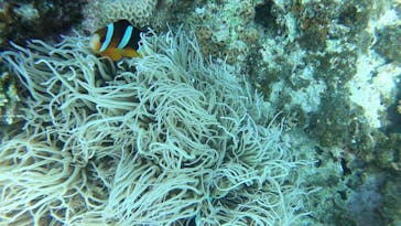 マリンクラブ ベリー 那覇店に投稿された画像（2021/8/22）