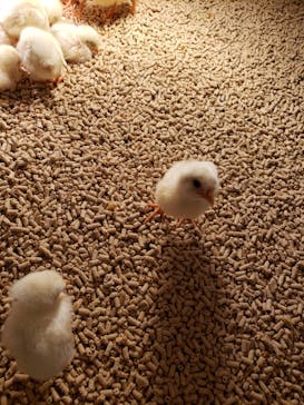 Moff animal cafe イオンモール幕張新都心店に投稿された画像（2021/8/22）