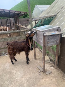 伊豆シャボテン動物公園に投稿された画像（2021/8/22）