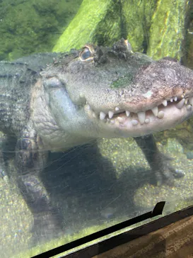 天王寺動物園に投稿された画像（2021/8/22）