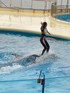 マリンワールド海の中道に投稿された画像（2021/8/22）