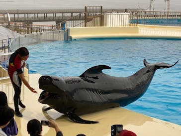 マリンワールド海の中道に投稿された画像（2021/8/22）