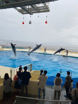 マリンワールド海の中道に投稿された画像（2021/8/22）