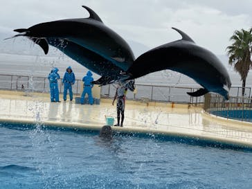 マリンワールド海の中道に投稿された画像（2021/8/22）