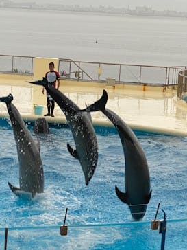 マリンワールド海の中道に投稿された画像（2021/8/22）