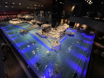 すみだ水族館に投稿された画像（2021/8/22）