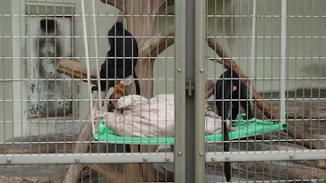 天王寺動物園に投稿された画像（2021/8/22）