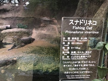 神戸どうぶつ王国に投稿された画像（2021/8/22）