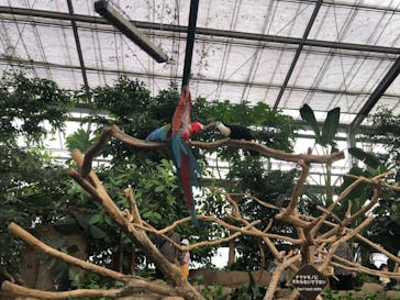 神戸どうぶつ王国に投稿された画像（2021/8/22）