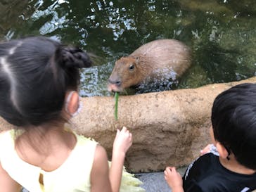 神戸どうぶつ王国に投稿された画像（2021/8/22）